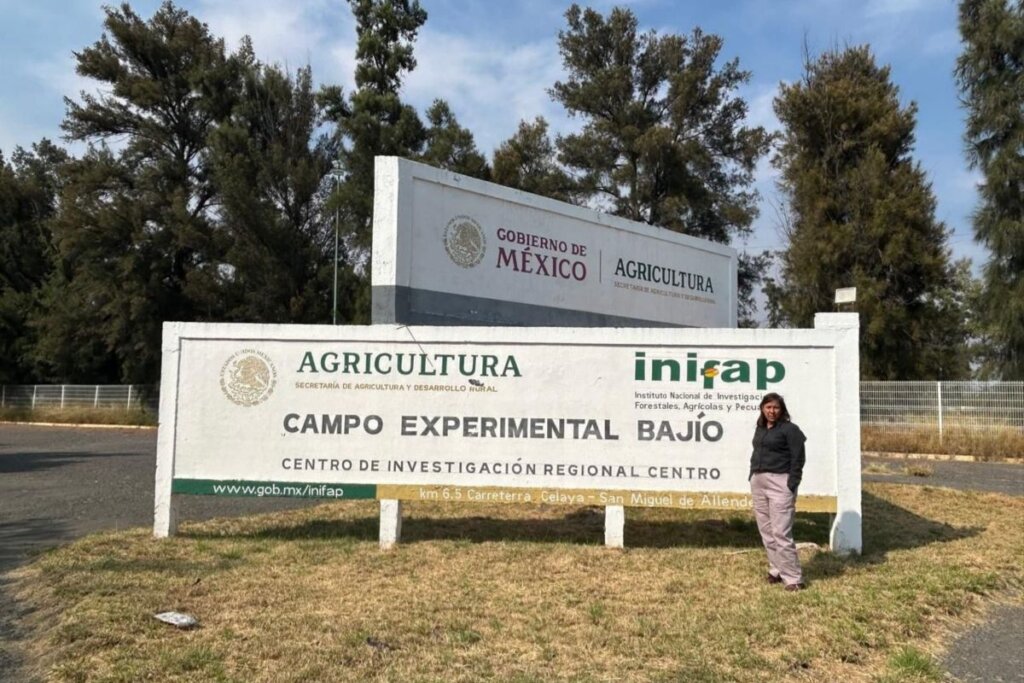 Investigadora Alma Delia Román Gutiérrez frente al Campo Experimental Bajío del INIFAP, donde realizó estancia de investigación sobre compuestos bioactivos de la cebada.